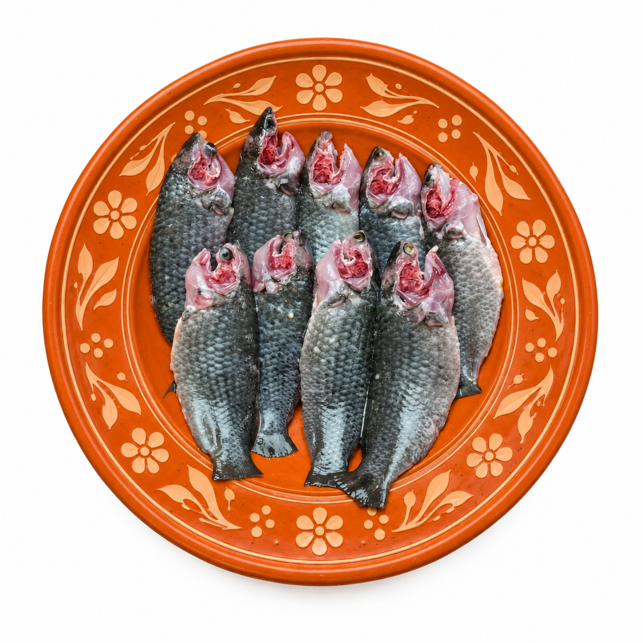 Pond Fish
